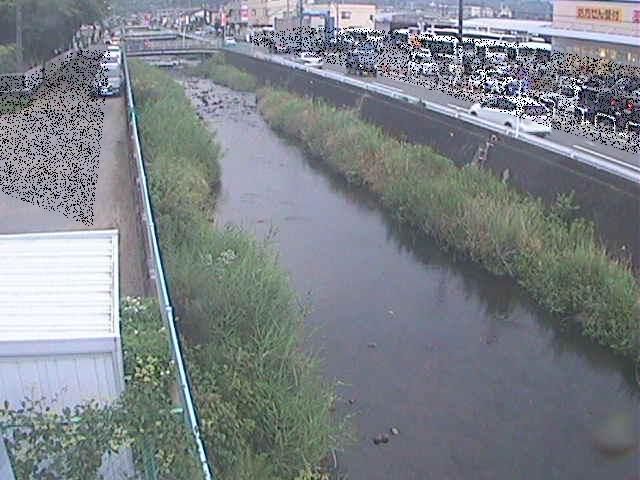 東洋橋付近のカメラ画像