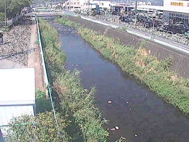 東洋橋付近のカメラ画像