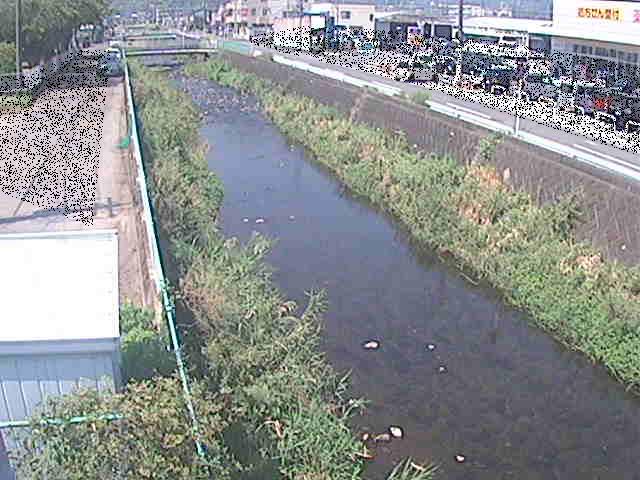 山王川 東洋橋付近のカメラ画像
