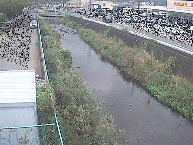 東洋橋付近のカメラ画像