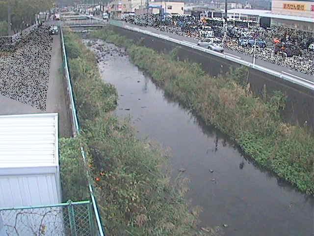 東洋橋付近のカメラ画像