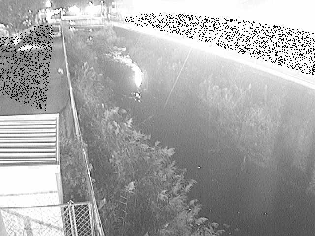 山王川 東洋橋付近のカメラ画像