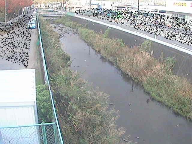 東洋橋付近のカメラ画像