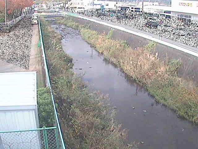 山王川 東洋橋付近のカメラ画像