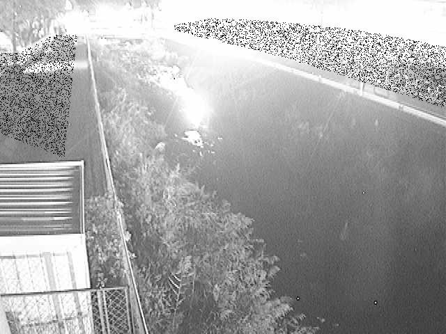 東洋橋付近のカメラ画像