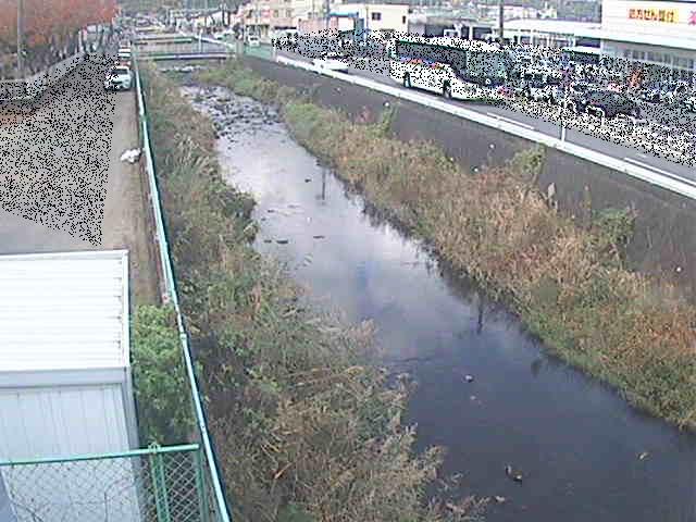 山王川 東洋橋付近のカメラ画像