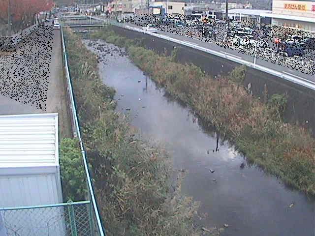 東洋橋付近のカメラ画像