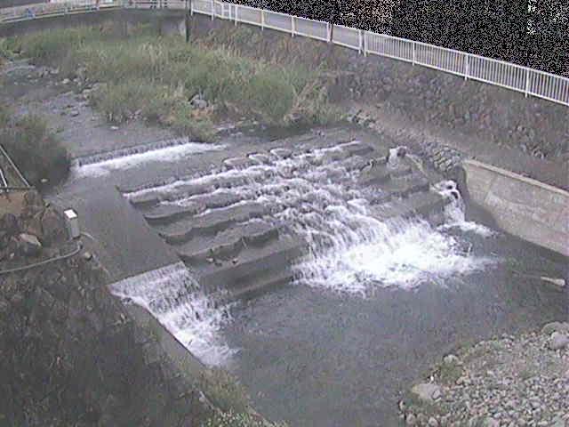 新崎川 新崎橋付近のカメラ画像