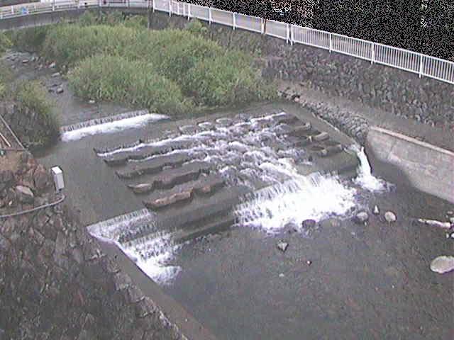 新崎橋付近のカメラ画像