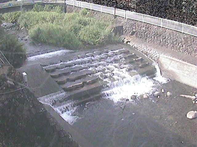 新崎川 新崎橋付近のカメラ画像