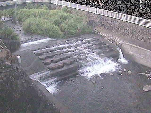 新崎橋付近のカメラ画像