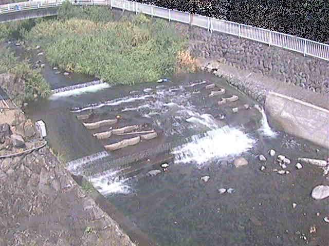 新崎川 新崎橋付近のカメラ画像