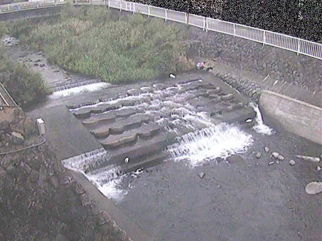 新崎川 新崎橋付近のカメラ画像