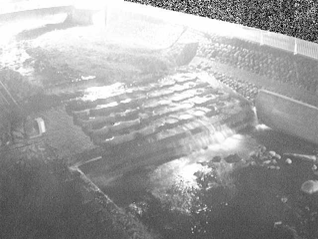 新崎川 新崎橋付近のカメラ画像