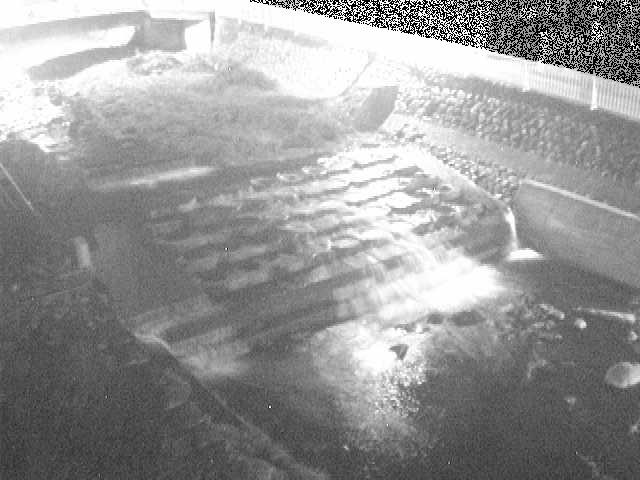 新崎橋付近のカメラ画像