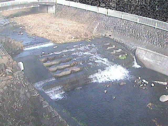 新崎川 新崎橋付近のカメラ画像