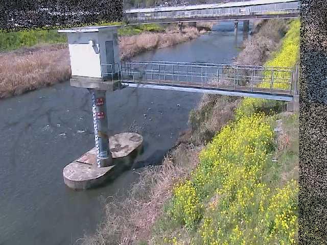 狩川水位観測所付近のカメラ画像