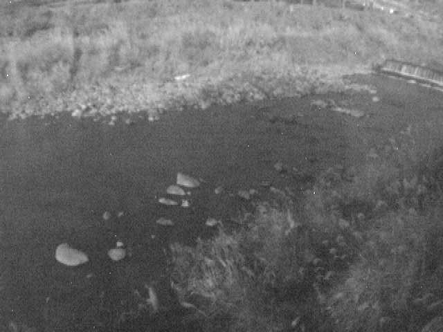 早川 宮城野付近のカメラ画像