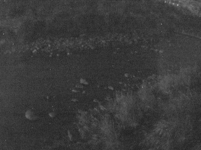 宮城野付近のカメラ画像