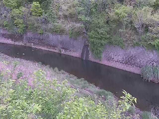 早川 仙石原付近のカメラ画像