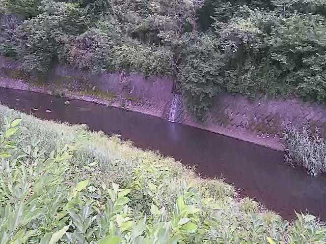 仙石原付近のカメラ画像