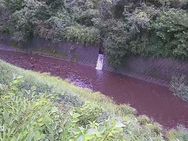 仙石原付近のカメラ画像