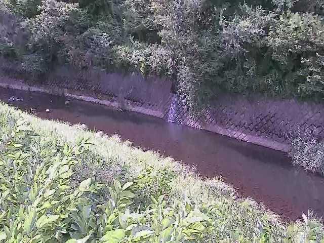 仙石原付近のカメラ画像