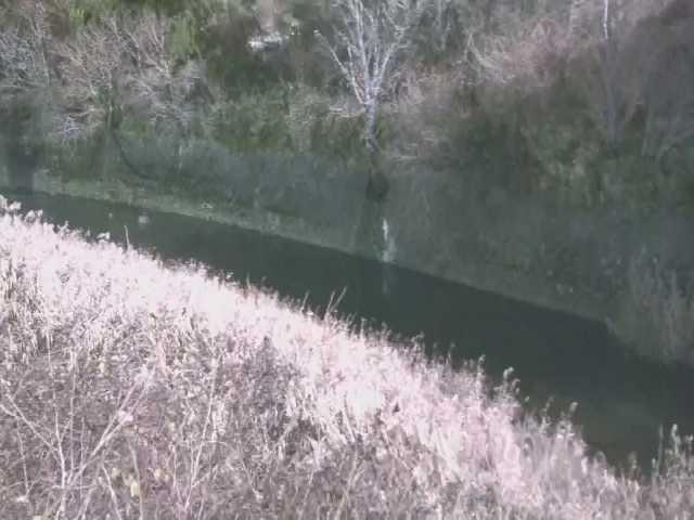 早川 仙石原付近のカメラ画像