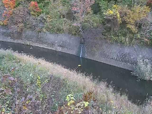 仙石原付近のカメラ画像