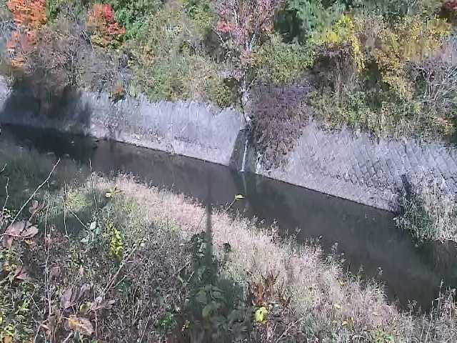 早川 仙石原付近のカメラ画像