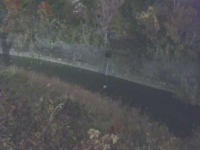 仙石原付近のカメラ画像