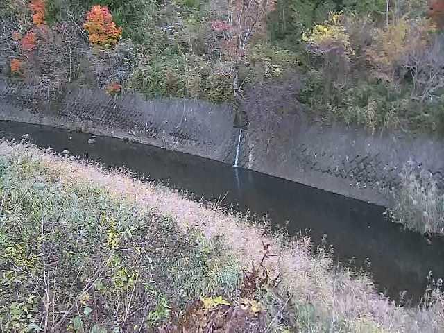 仙石原付近のカメラ画像