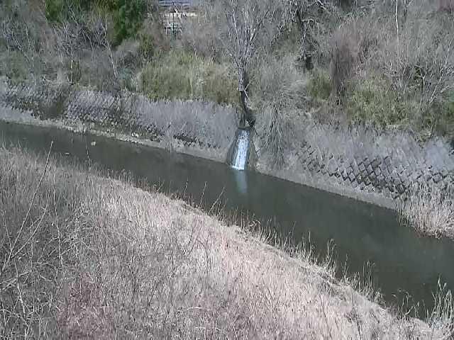 仙石原付近のカメラ画像