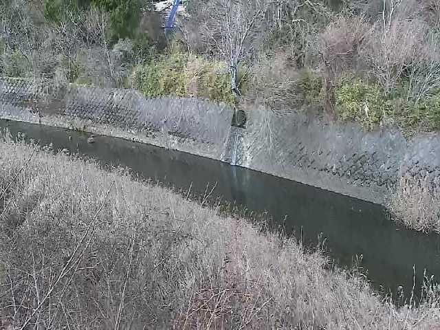 仙石原付近のカメラ画像