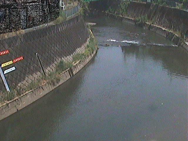 帷子川 宮崎橋付近のカメラ画像