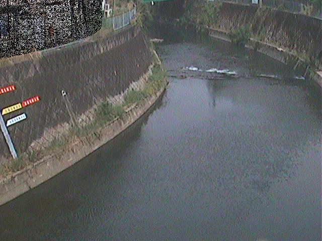 帷子川 宮崎橋付近のカメラ画像