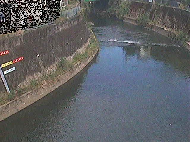 帷子川 宮崎橋付近のカメラ画像