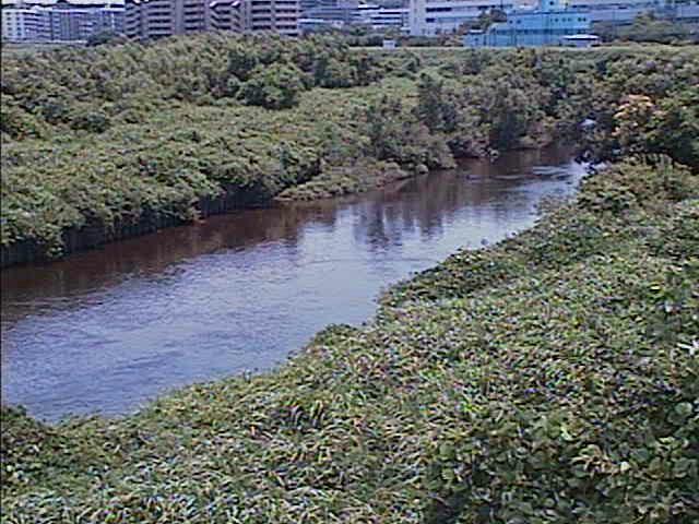 鶴見川 落合橋付近のカメラ画像