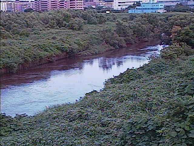 鶴見川 落合橋付近のカメラ画像
