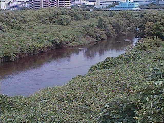 鶴見川 落合橋付近のカメラ画像