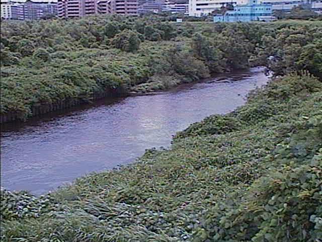 鶴見川 落合橋付近のカメラ画像