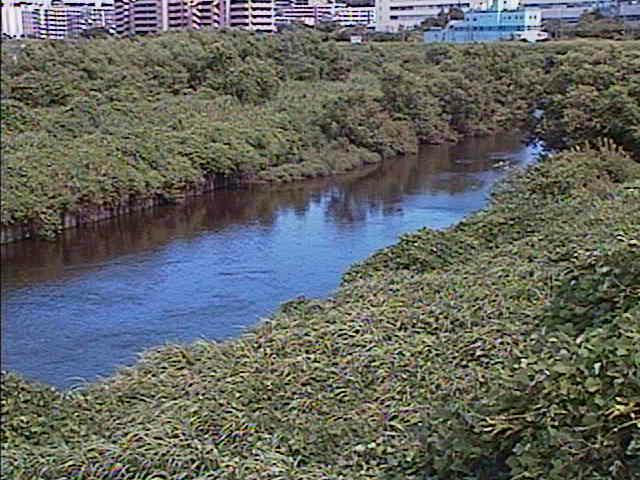 鶴見川 落合橋付近のカメラ画像