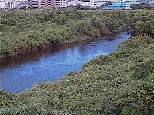鶴見川 落合橋付近のカメラ画像