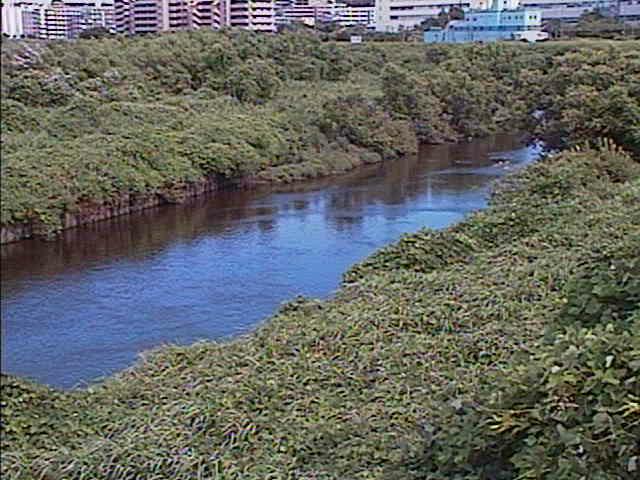 落合橋付近のカメラ画像
