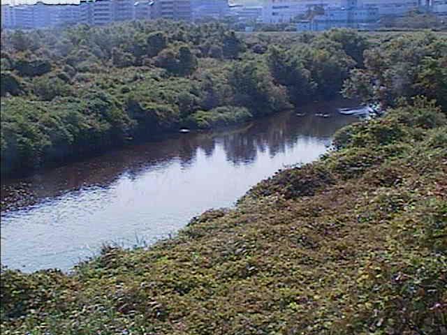 鶴見川 落合橋付近のカメラ画像