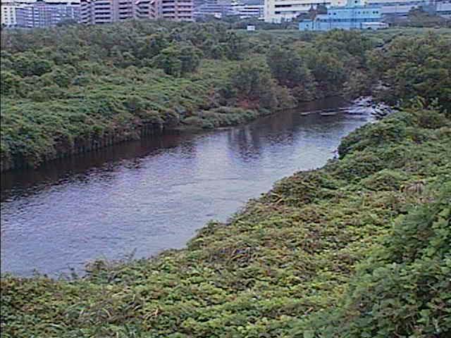 鶴見川 落合橋付近のカメラ画像