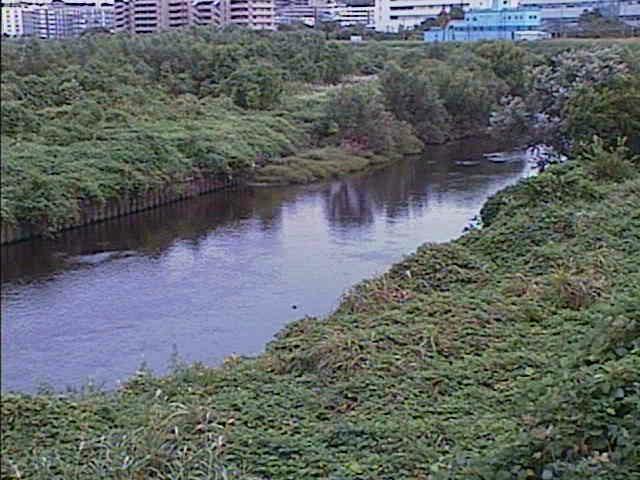 落合橋付近のカメラ画像