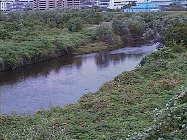 鶴見川 落合橋付近のカメラ画像