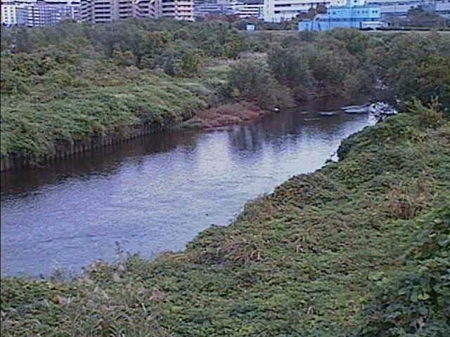 落合橋付近のカメラ画像