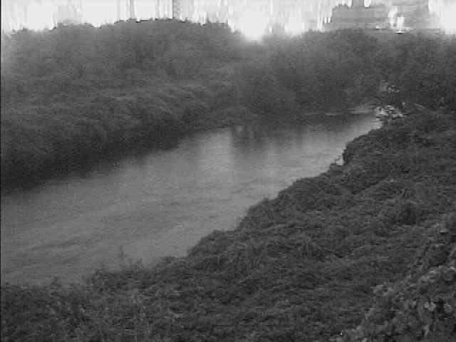 鶴見川 落合橋付近のカメラ画像